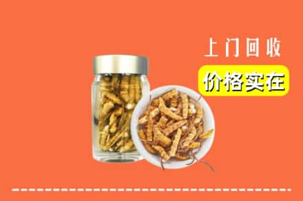 盘锦双台子区回收散虫草