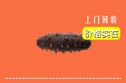 盘锦双台子区回收海参