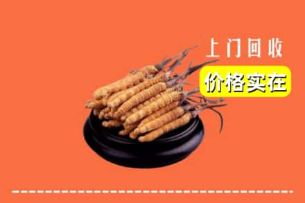 盘锦双台子区回收冬虫夏草