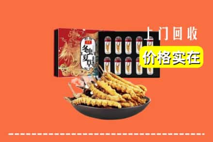 盘锦双台子区回收虫草